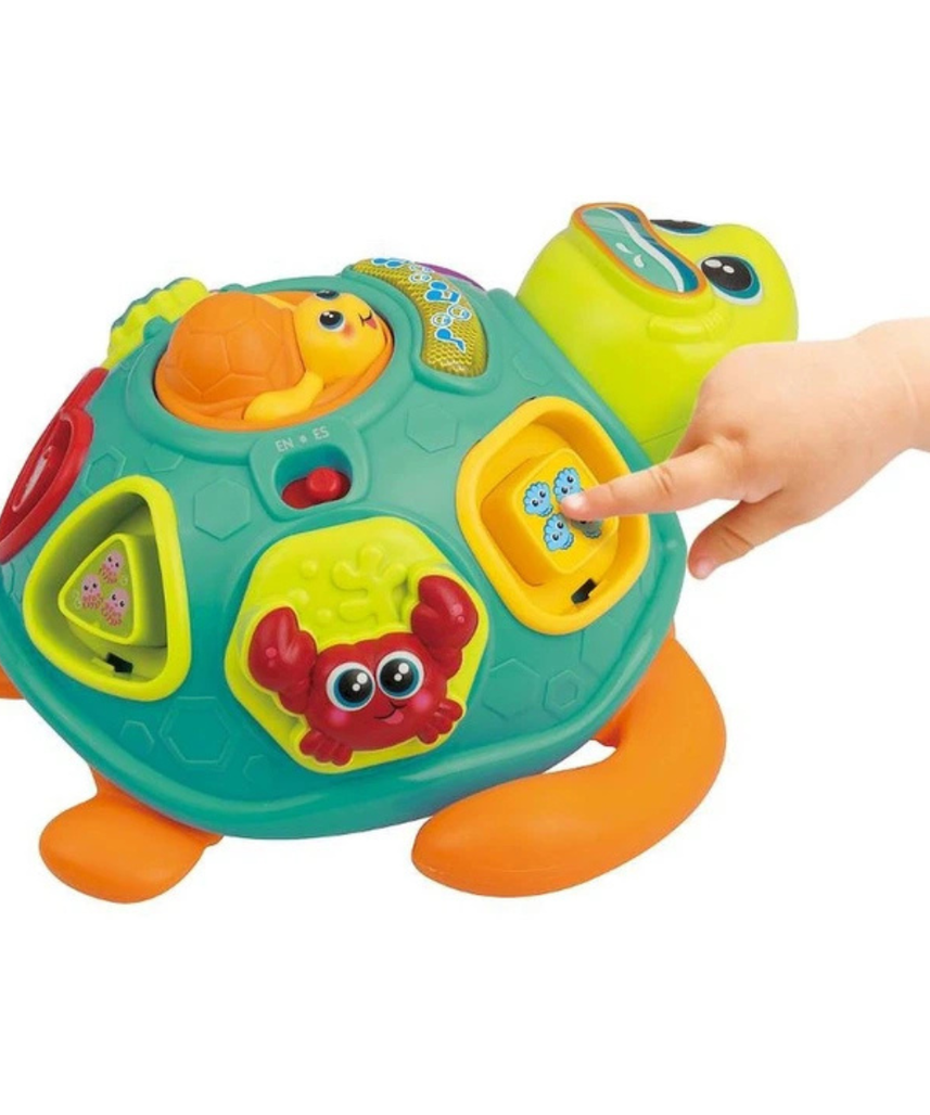 Winfun Tadzio Turtle Interactive Toy, Shape Sorter, Pull-Along Educational Toy for Toddlers, Light and Music, Ages 6 Months+