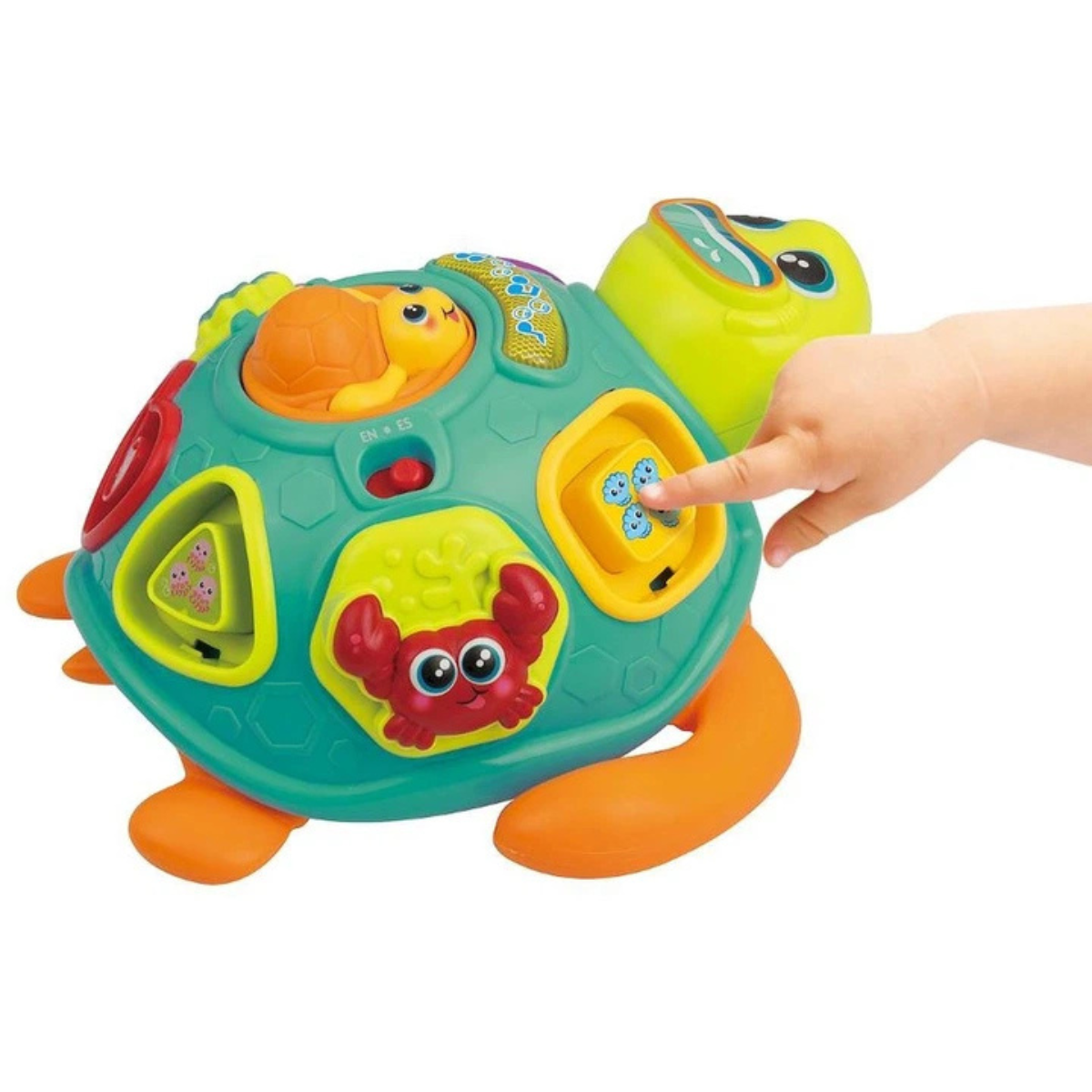 Winfun Tadzio Turtle Interactive Toy, Shape Sorter, Pull-Along Educational Toy for Toddlers, Light and Music, Ages 6 Months+