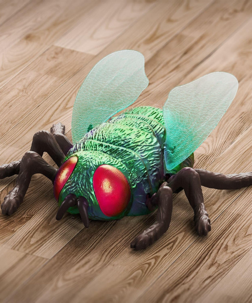 Terra RC Climbing Fly | Gravity-Defying Insect Toy | Crawls on Walls, Floor & Ceiling | Powerful Suction | Realistic Wings & Legs | Easy to Control | 3 Modes | Rechargeable | Ages 5+