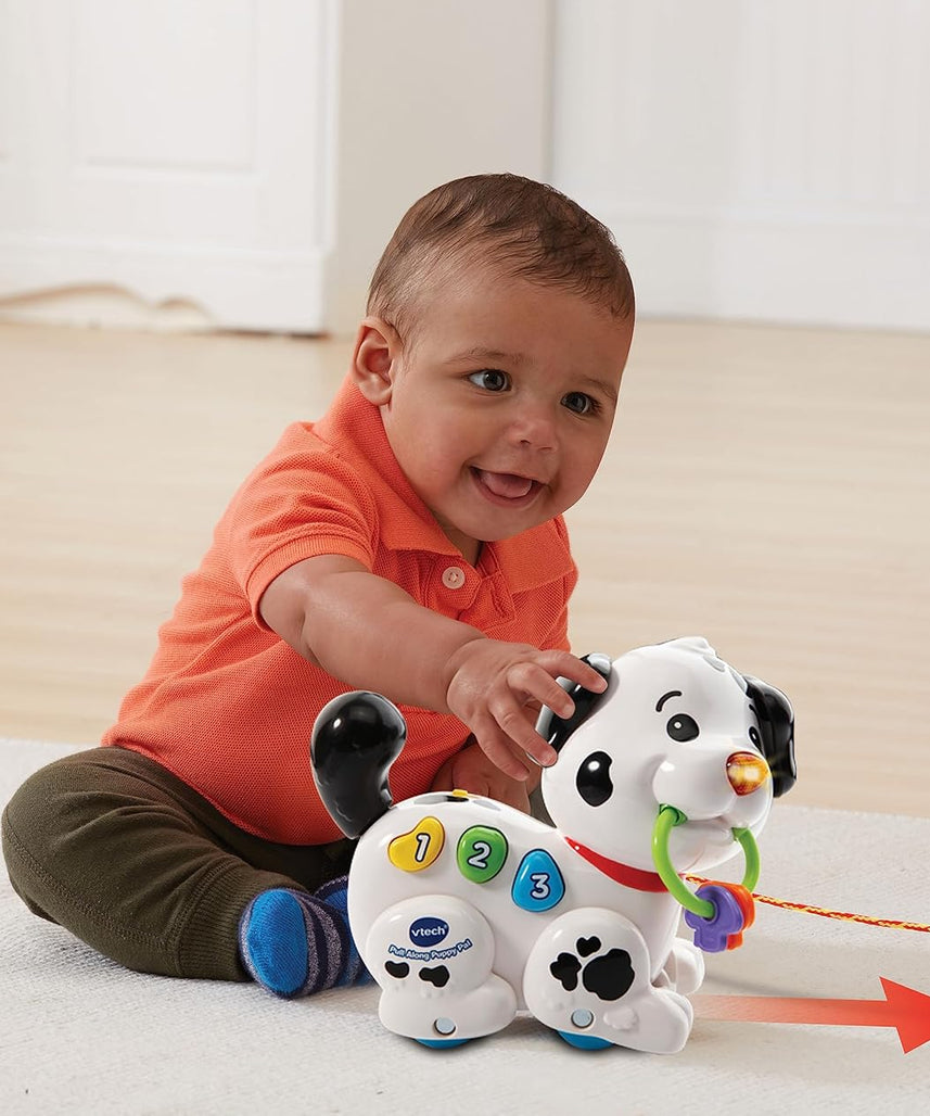 Vtech Pull Along Puppy Pal, Multi-Colour, 80-502803