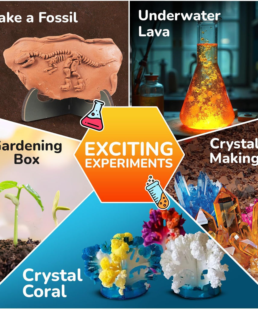 Smartivity Mega Crystal Earth Science Kit | Explore Earth, Crystal, and Fossilization Concepts | Birthday Gift for Boys & Girls I STEM Educational DIY Science Toys for Kids Ages 8,9,10,11,12,13,14