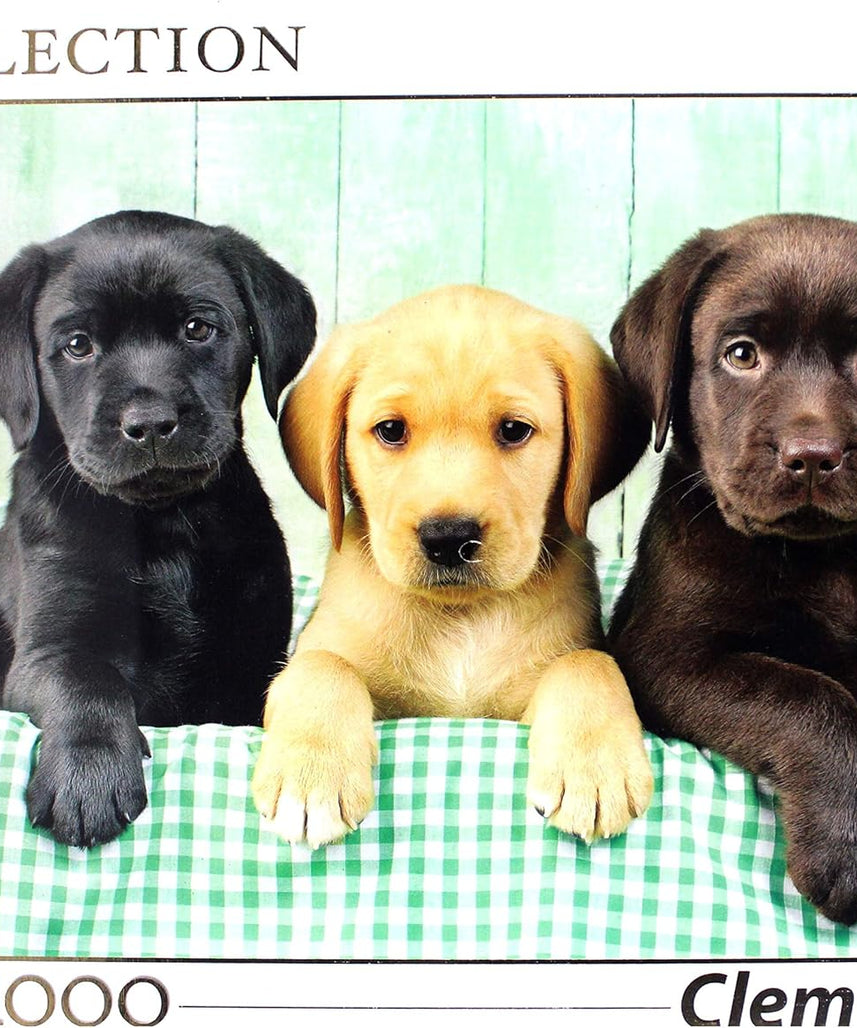 Clementoni 39279 Three Labrador Babies - Puzzle 1000 Pieces, Colourful Tile Game for the Whole Family, Adult Puzzle from 14 Years