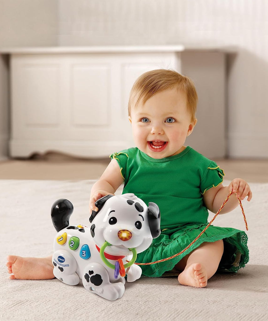 Vtech Pull Along Puppy Pal, Multi-Colour, 80-502803