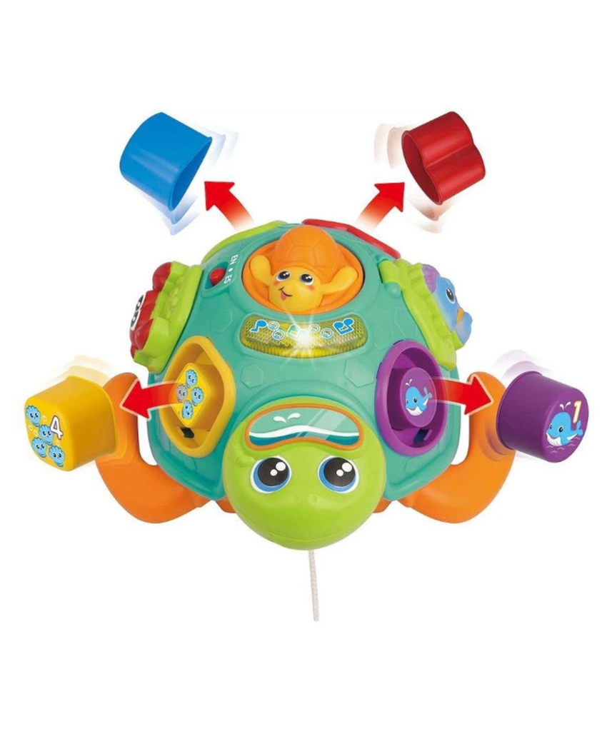 Winfun Tadzio Turtle Interactive Toy, Shape Sorter, Pull-Along Educational Toy for Toddlers, Light and Music, Ages 6 Months+