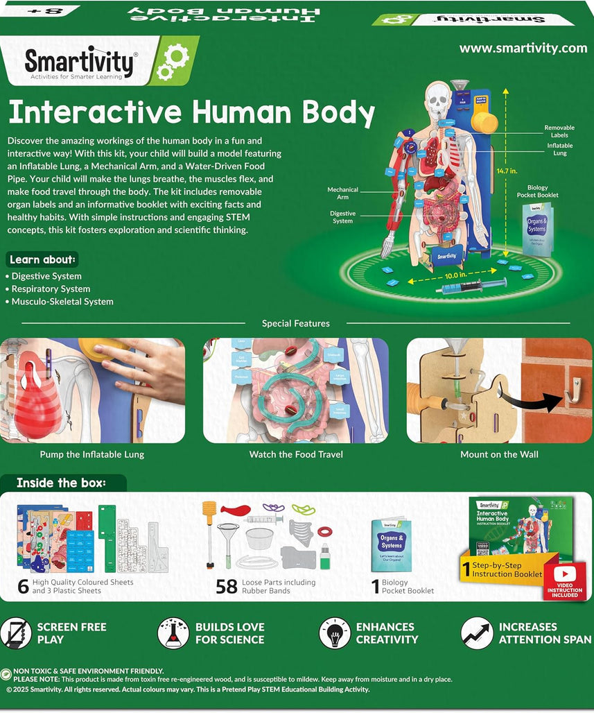 Smartivity Interactive Human Body Model for Kids 8-14 Years I Dynamic Body Parts & Organs + Learning Booklet | Birthday Gift for Boys & Girls | Educational Toy for 8,9,10,11,12,13,14 Years