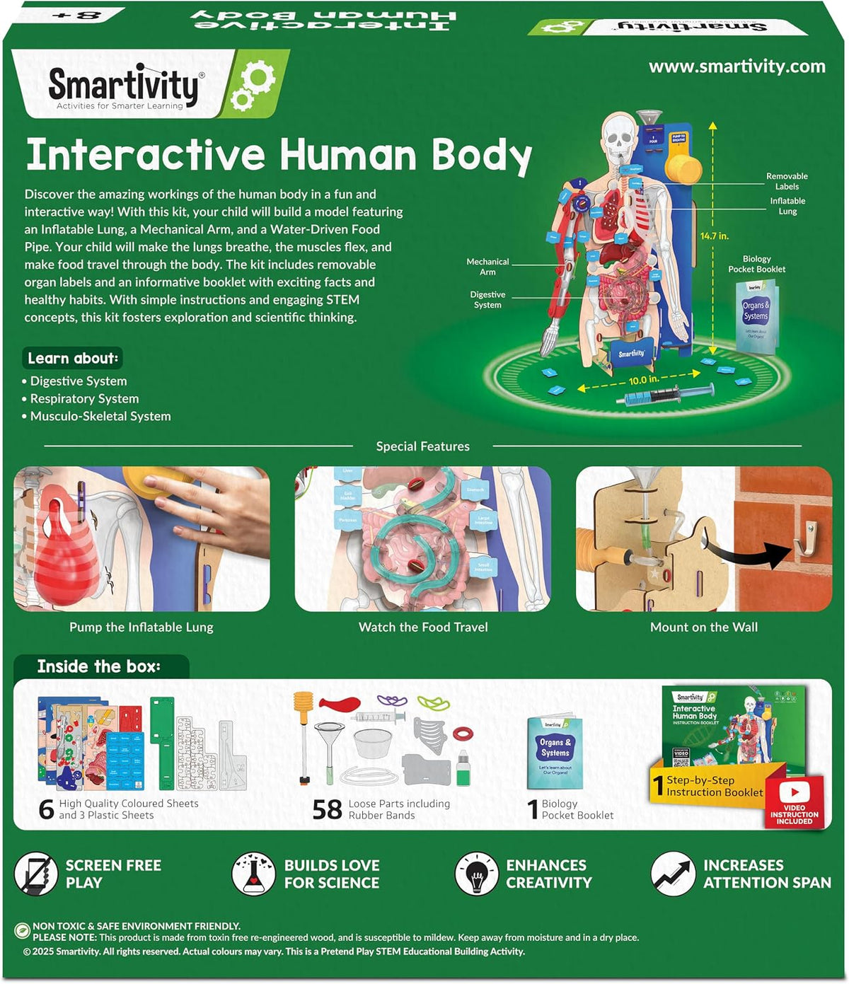 Smartivity Interactive Human Body Model for Kids 8-14 Years I Dynamic Body Parts & Organs + Learning Booklet | Birthday Gift for Boys & Girls | Educational Toy for 8,9,10,11,12,13,14 Years