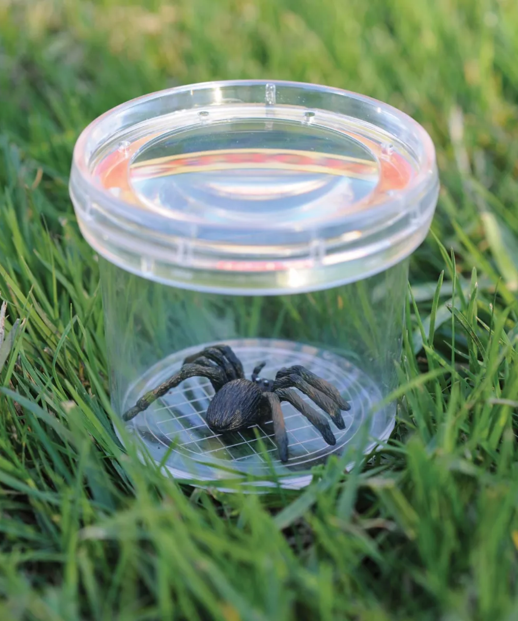 موارد التعلم GeoSafari Jr. Bug Viewer، وعاء مكبر للأطفال، تكبير 3 أضعاف، فتحات هوائية للعرض المباشر، قاعدة قياس شبكية، مثالي للاستكشاف في الهواء الطلق، للأعمار من 3 سنوات فما فوق