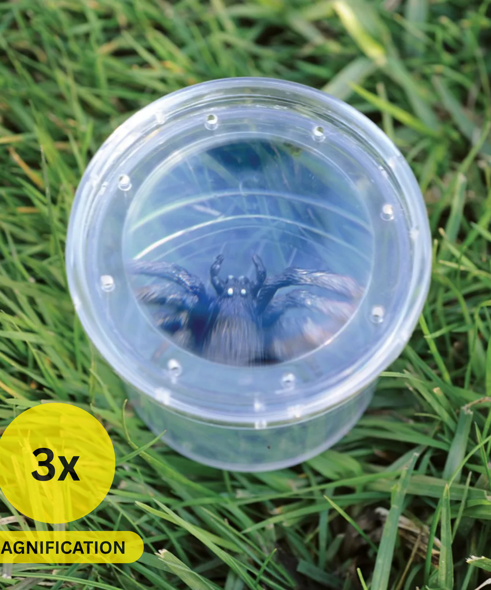 موارد التعلم GeoSafari Jr. Bug Viewer، وعاء مكبر للأطفال، تكبير 3 أضعاف، فتحات هوائية للعرض المباشر، قاعدة قياس شبكية، مثالي للاستكشاف في الهواء الطلق، للأعمار من 3 سنوات فما فوق