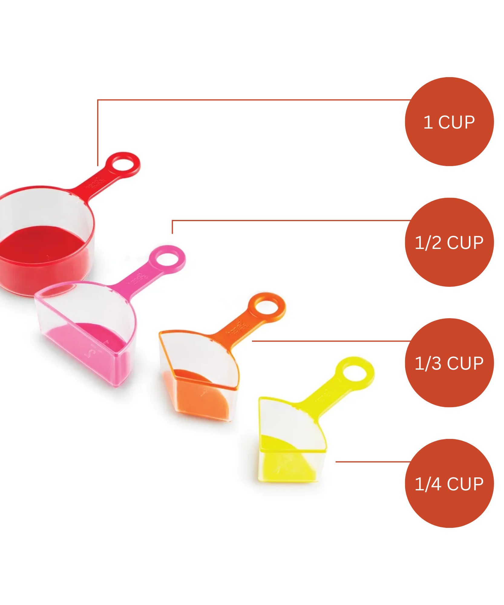 Learning Resources Rainbow Fraction Measuring Cups Set of 4 Visual Fraction Learning Tool for Kids Ages 3 Plus