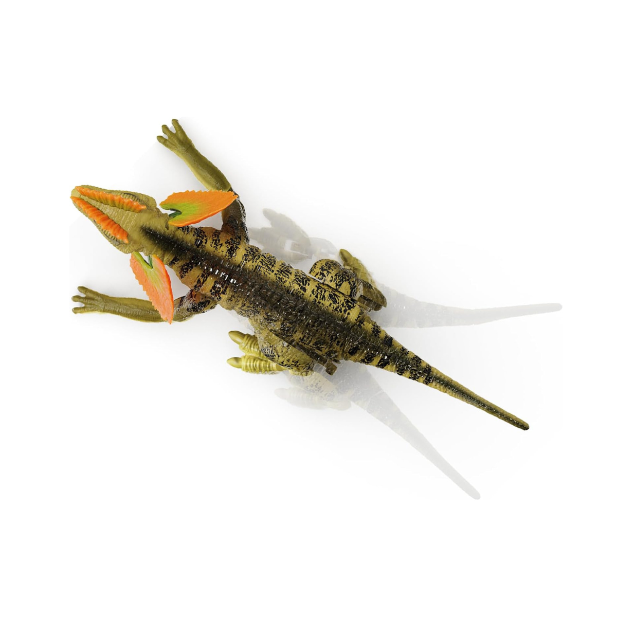 Terra by Battat RC Dilophosaurus, Remote Control Walking Dinosaur Toy with Lights and Sounds, Action Mode, 30.5 cm, Ages 5+