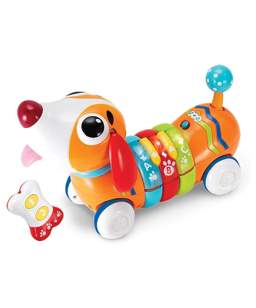 WinFun Activity Remote Control Puppy Toy, Interactive Walking Dog with Sounds, Lights, Letters and Shapes Learning Toy for Toddlers 3+ Months