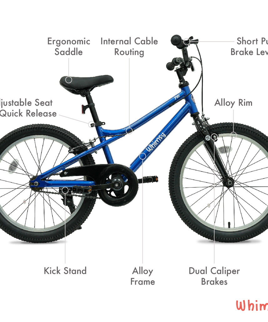 Whimsy Pro Aluminum 20" Kids Bike - Blue