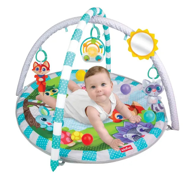 Winfun Play Gym & Ball Pit | Soft Baby Activity Mat with Detachable Arch, Hanging Toys & Play Balls | Multi-Stage Infant Activity Center with Tummy Time & Ball Pit Play | Developmental Toy for Ages 0+