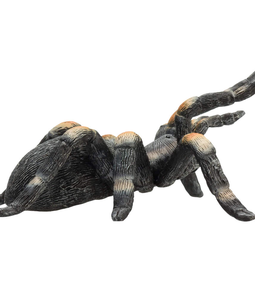 Mojo Red Kneed Tarantula Medium Animal Figure Toy, Realistic Insect Collectible for Kids