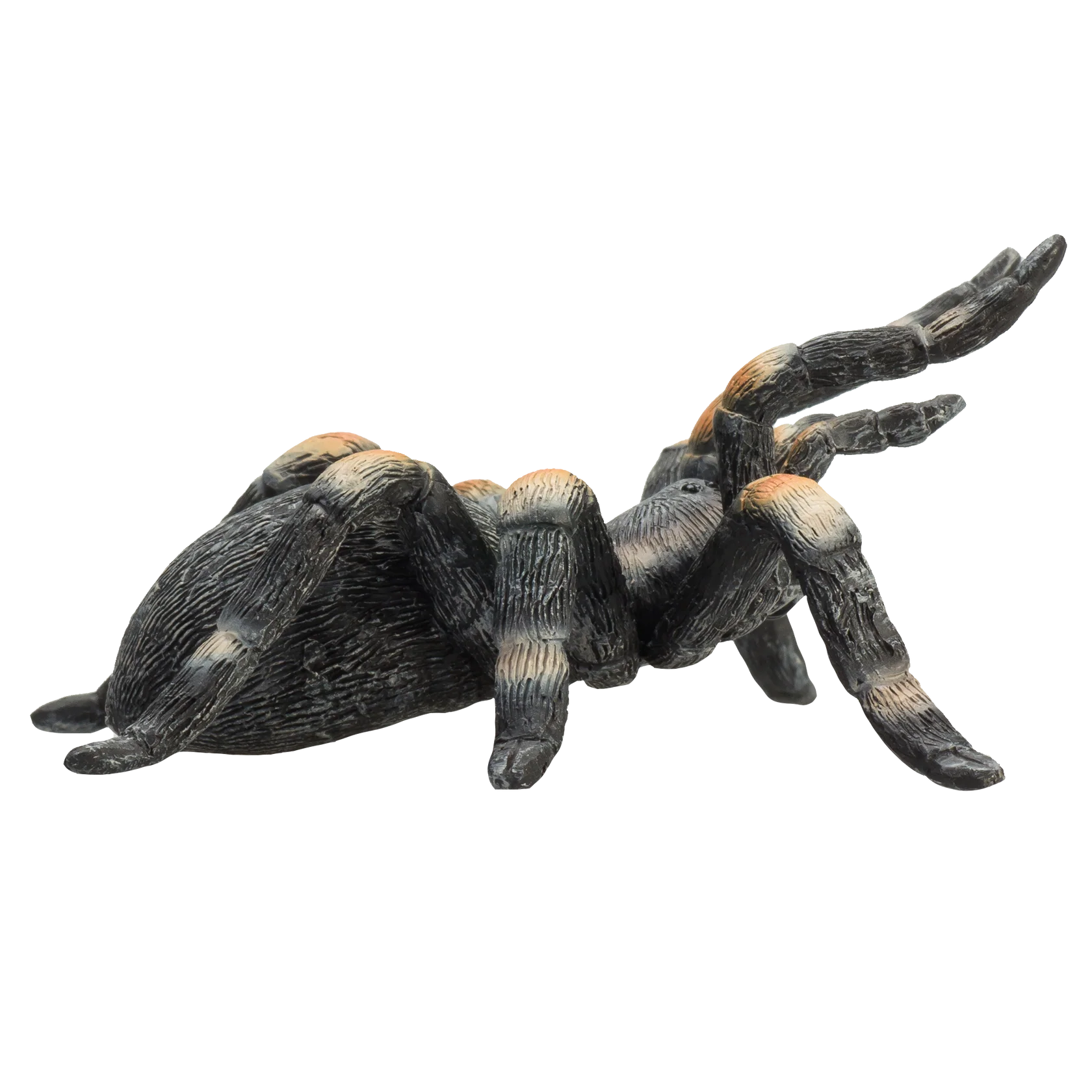 Mojo Red Kneed Tarantula Medium Animal Figure Toy, Realistic Insect Collectible for Kids