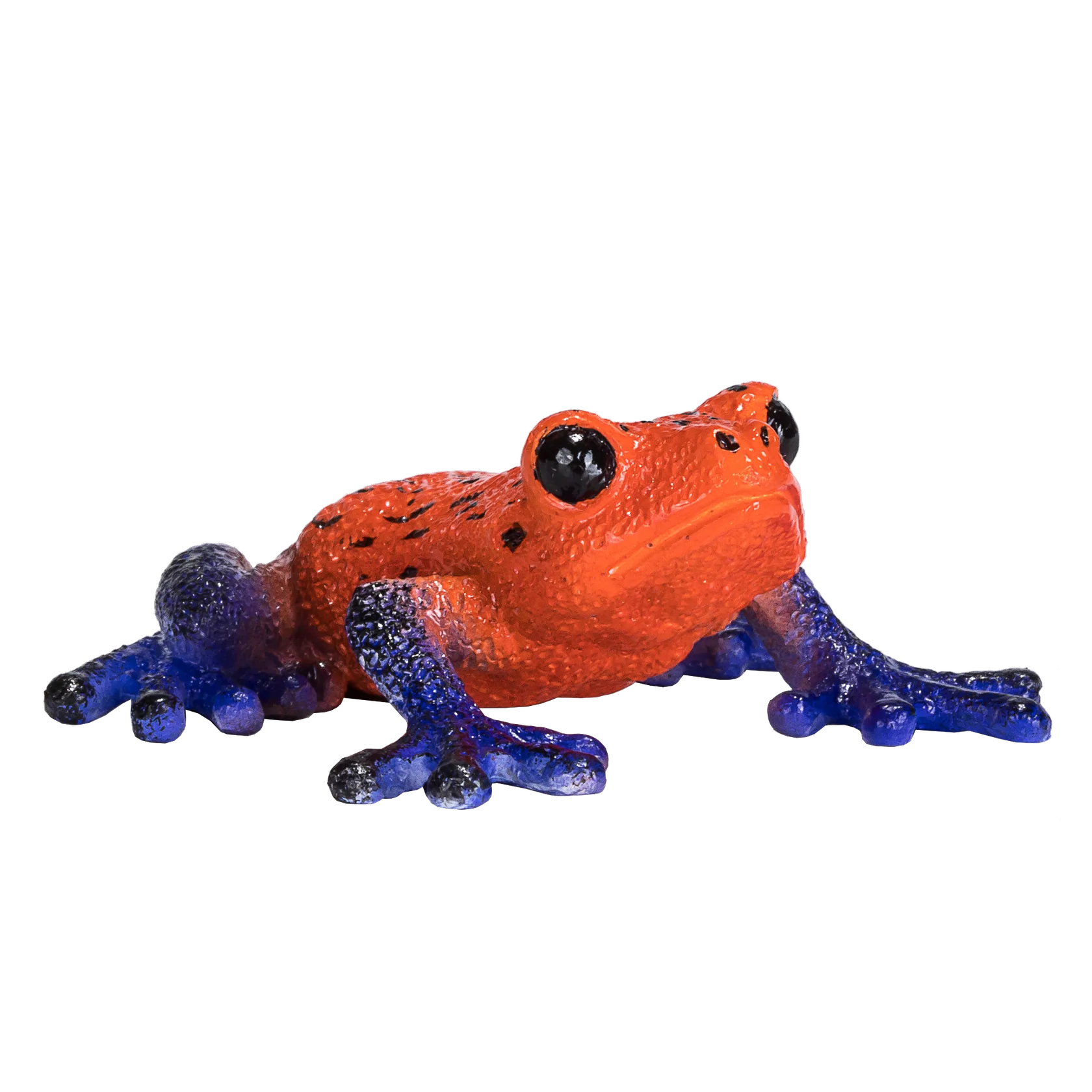 Mojo Poison Dart Tree Frog Medium Animal Figure Toy, Educational Amphibian Collectible for Kids
