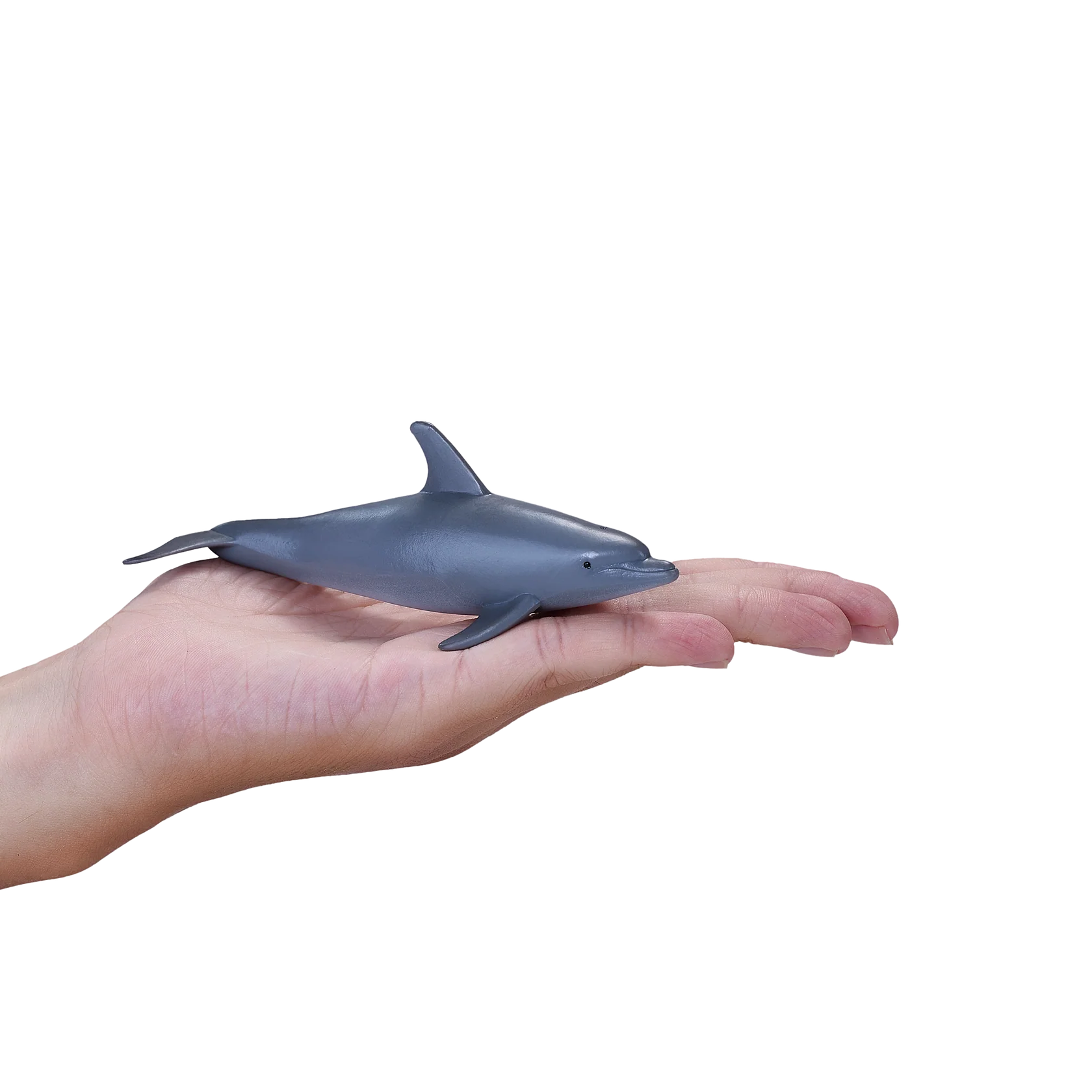 Mojo Bottlenose Dolphin Medium Animal Figure Toy, Realistic Sea Life Collectible for Kids