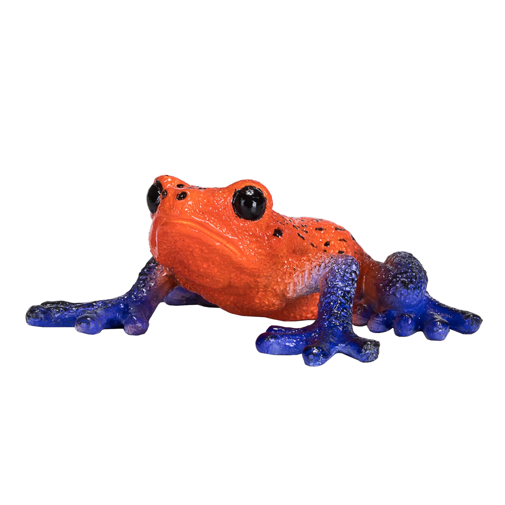 Mojo Poison Dart Tree Frog Medium Animal Figure Toy, Educational Amphibian Collectible for Kids