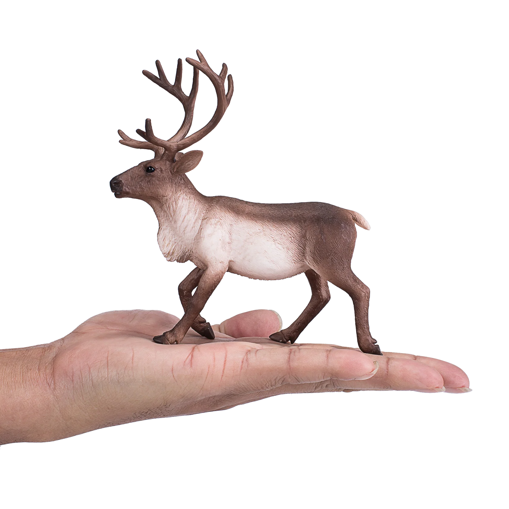 Mojo Reindeer XL Animal Figure Toy, Realistic Arctic Wildlife Collectible for Kids