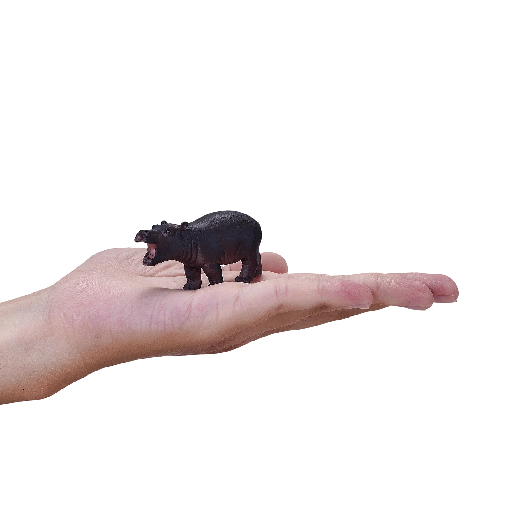 Mojo Hippopotamus Baby Small Animal Figure Toy, Wildlife Safari Collectible for Kids
