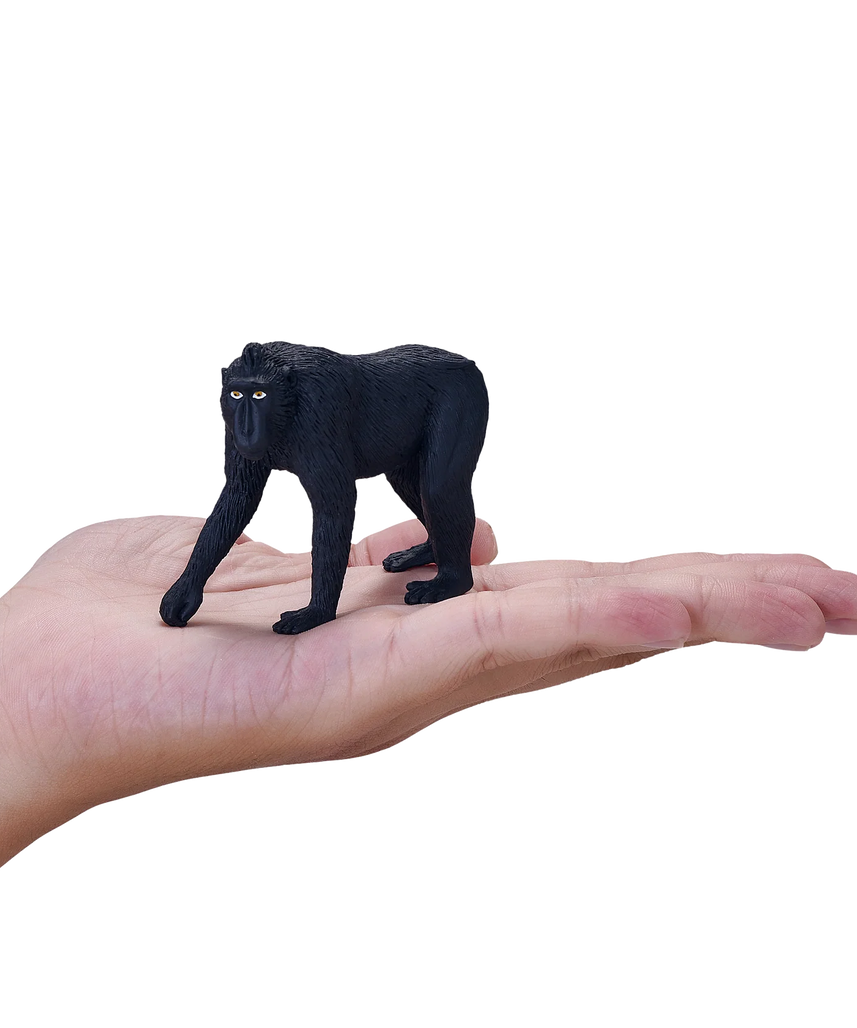Black Crested Macaque Medium Animal Figure Toy, Realistic Jungle Wildlife Collectible for Kids