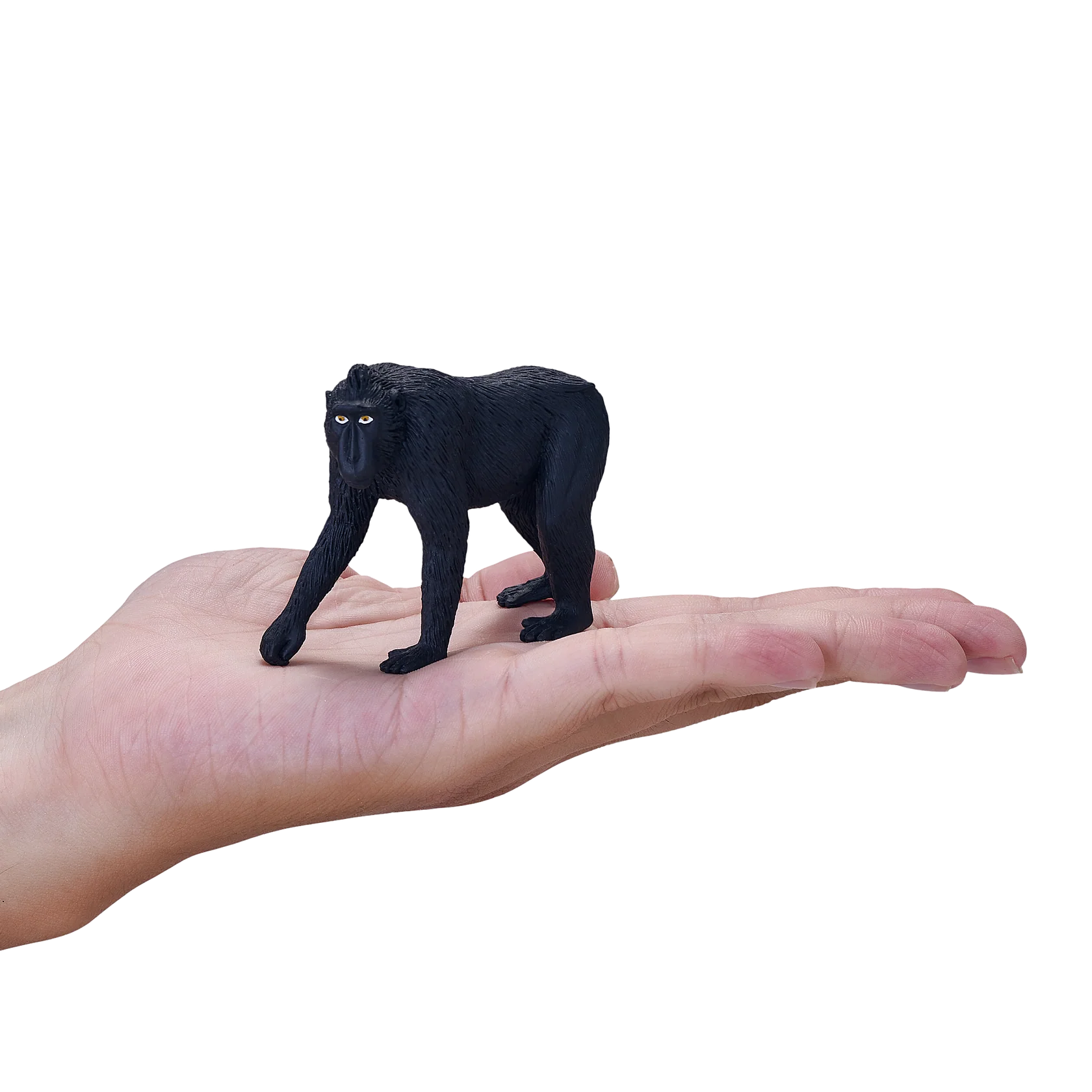 Black Crested Macaque Medium Animal Figure Toy, Realistic Jungle Wildlife Collectible for Kids