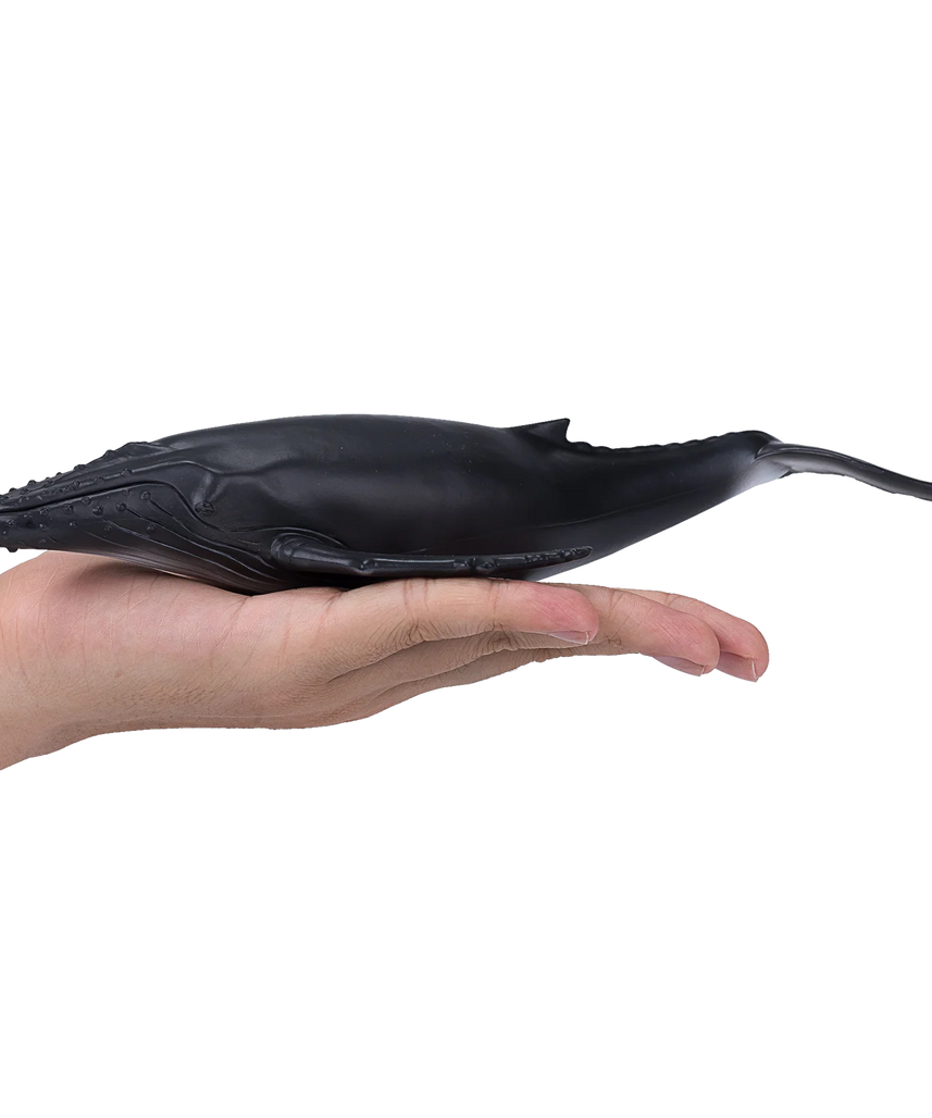 Mojo Humpback Whale Deluxe I Animal Figure Toy, Realistic Ocean Wildlife Collectible for Kids