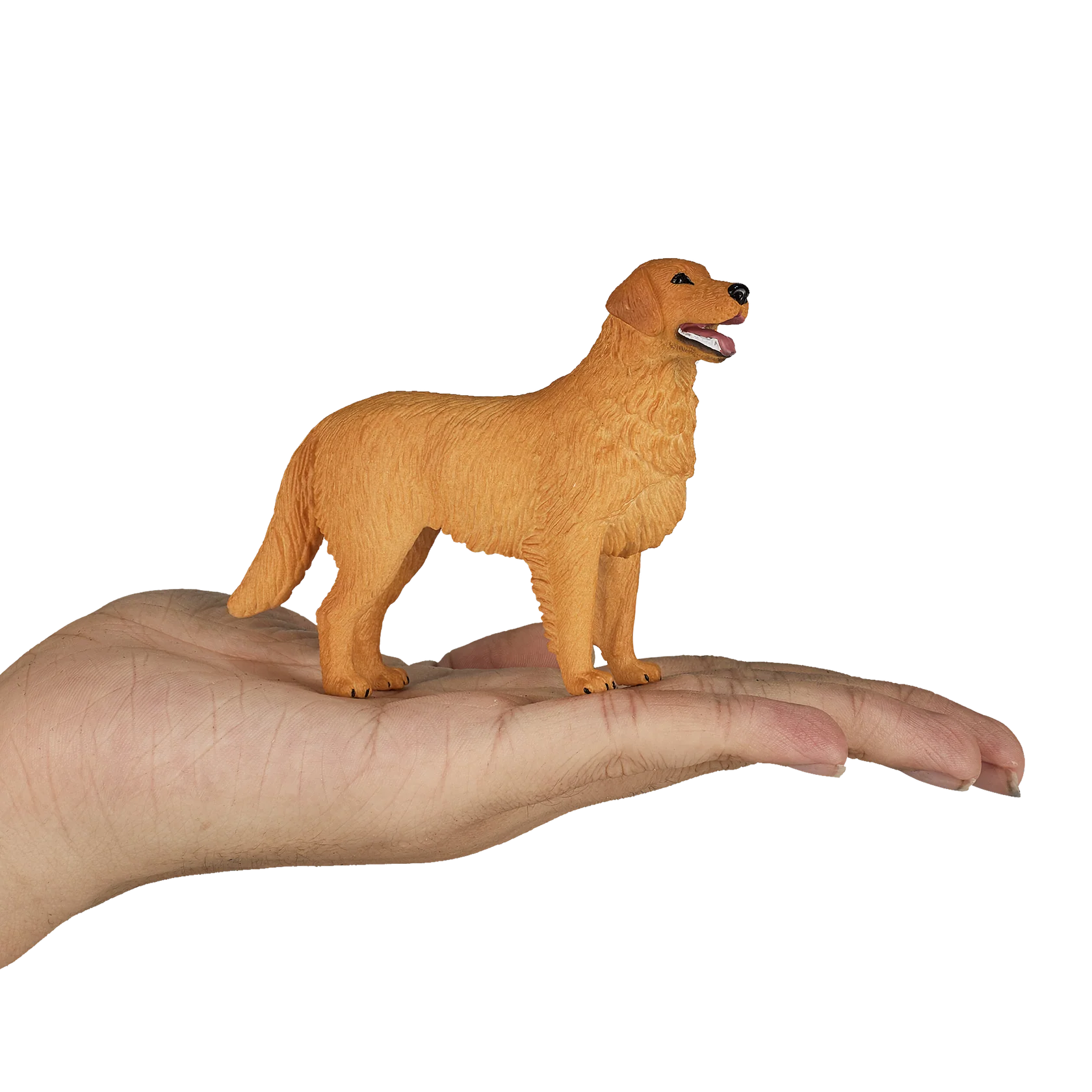 Mojo Golden Retriever Medium Animal Figure Toy, Realistic Pet Collectible for Kids