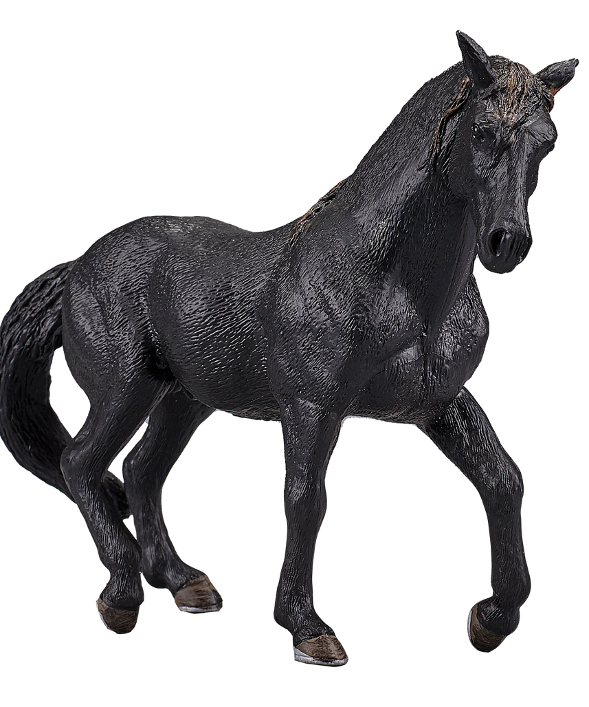 Mojo Andalusian Stallion Black XL Animal Figure Toy, Realistic Horse Collectible for Kids