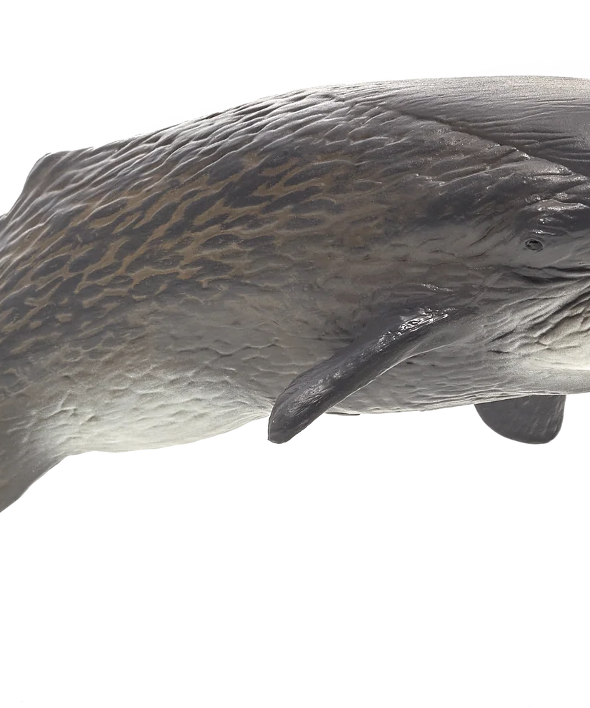 Mojo Sperm Whale Deluxe II Animal Figure Toy, Realistic Ocean Wildlife Collectible for Kids
