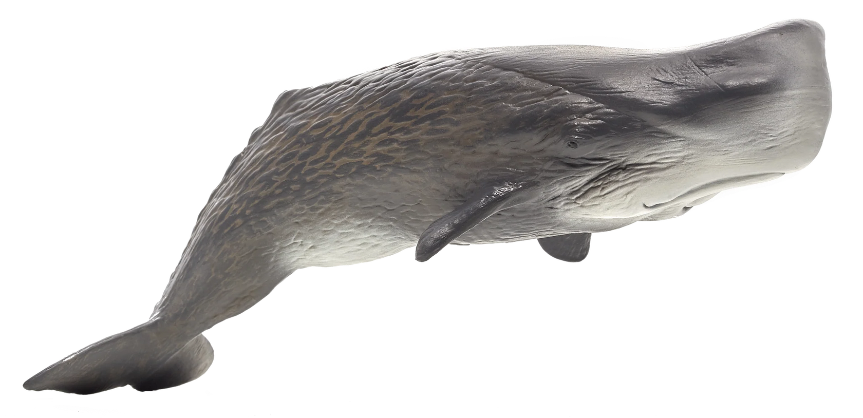 Mojo Sperm Whale Deluxe II Animal Figure Toy, Realistic Ocean Wildlife Collectible for Kids