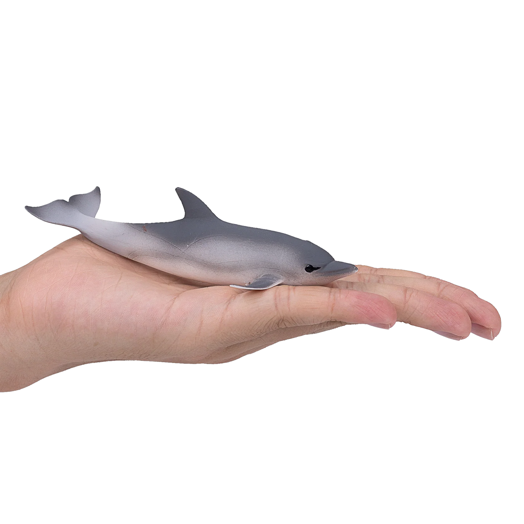 Mojo Common Dolphin Large Animal Figure Toy, Realistic Sea Life Collectible for Kids