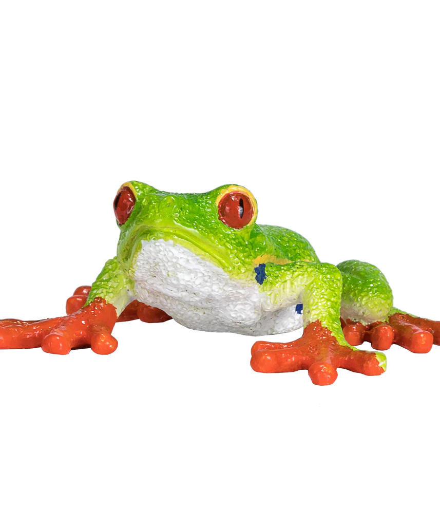 Mojo Red Eyed Tree Frog Medium Animal Figure Toy, Realistic Amphibian Collectible for Kids