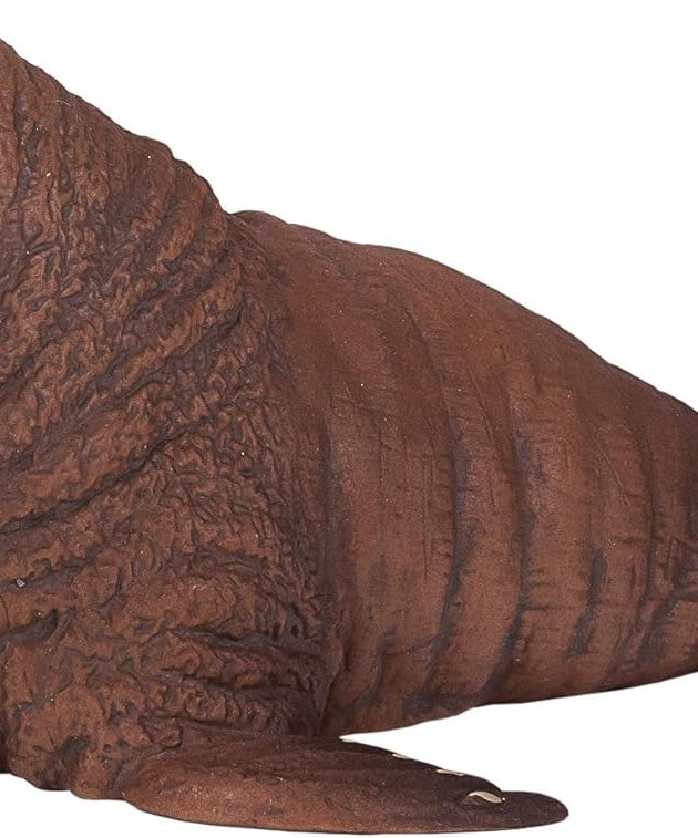 Walrus XXL Animal Figure Toy, Realistic Arctic Wildlife Collectible for Kids