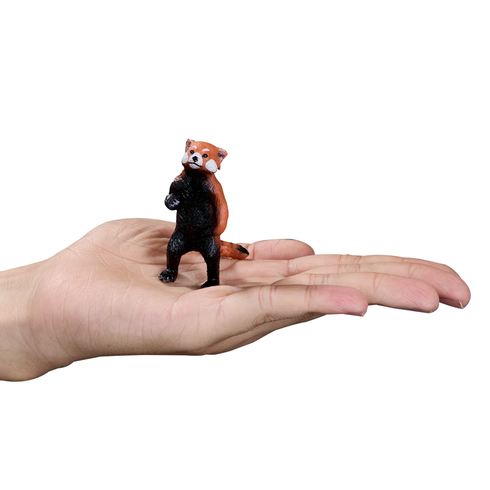 Mojo Red Panda Medium Animal Figure Toy, Realistic Wildlife Collectible for Kids