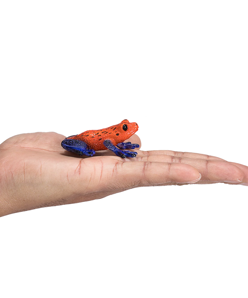 Mojo Poison Dart Tree Frog Medium Animal Figure Toy, Educational Amphibian Collectible for Kids