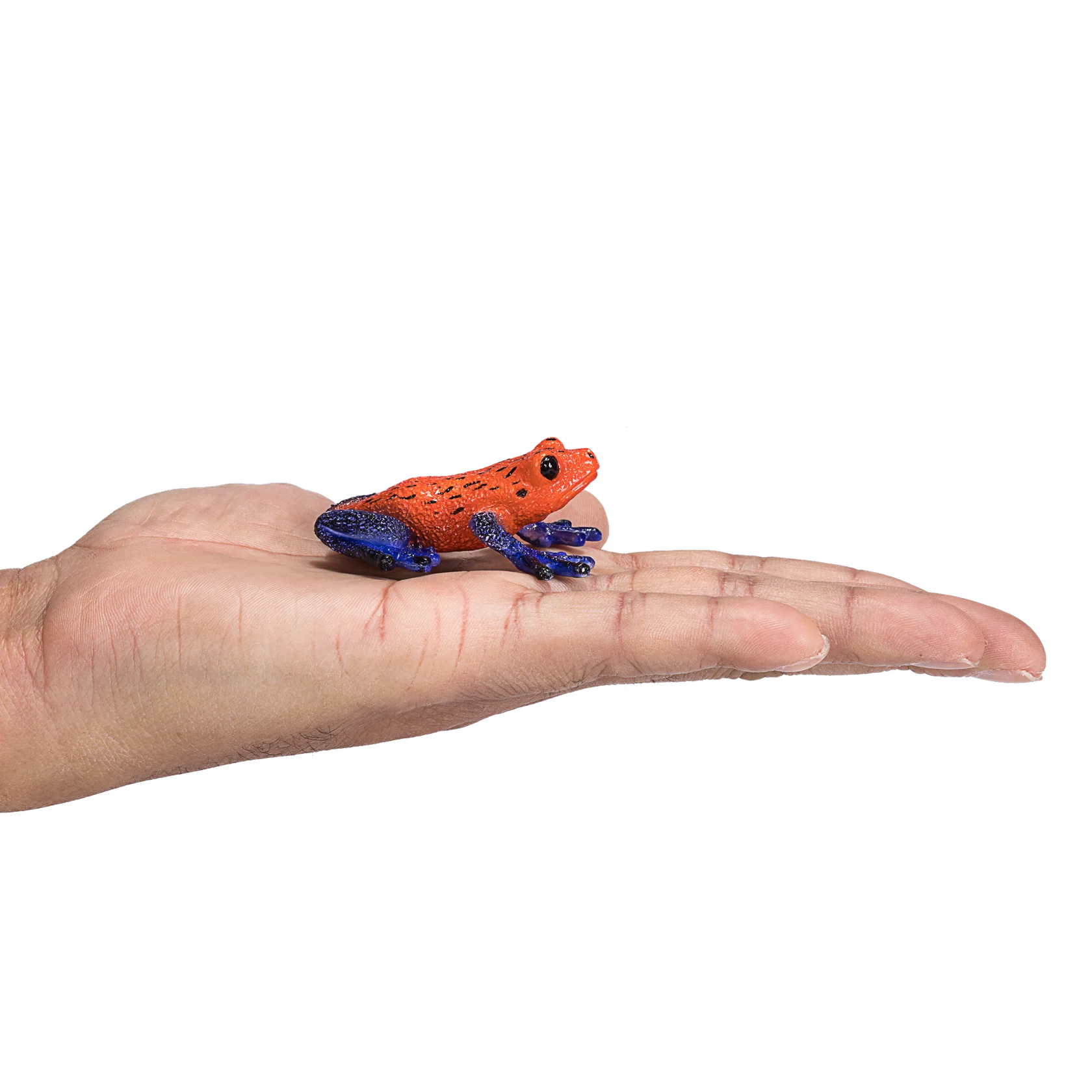 Mojo Poison Dart Tree Frog Medium Animal Figure Toy, Educational Amphibian Collectible for Kids
