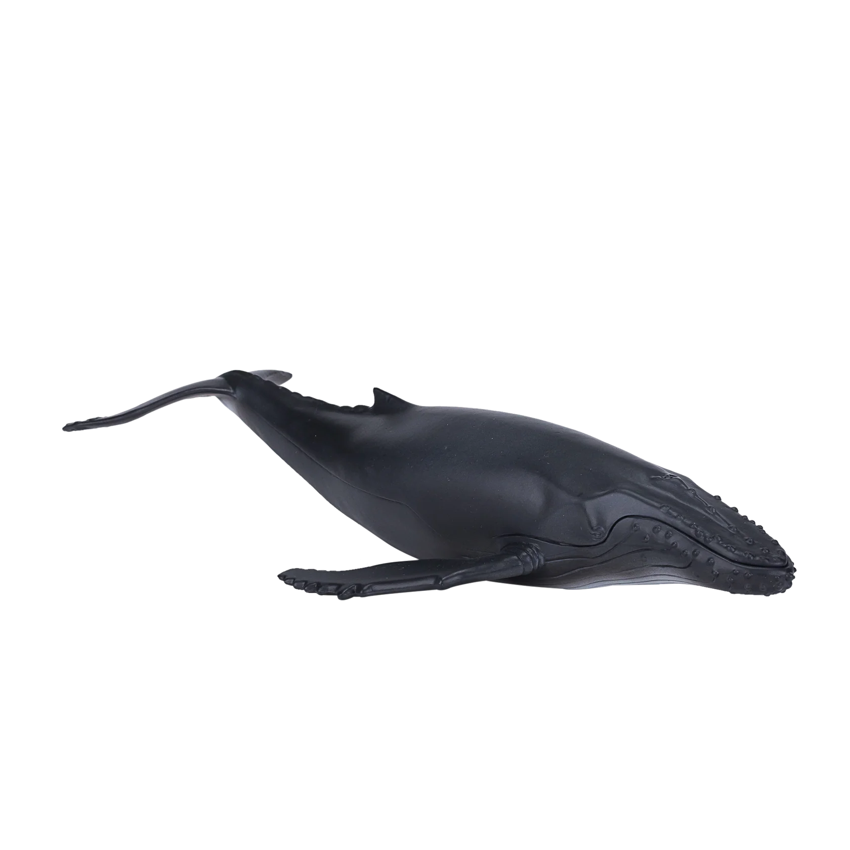 Mojo Humpback Whale Deluxe I Animal Figure Toy, Realistic Ocean Wildlife Collectible for Kids