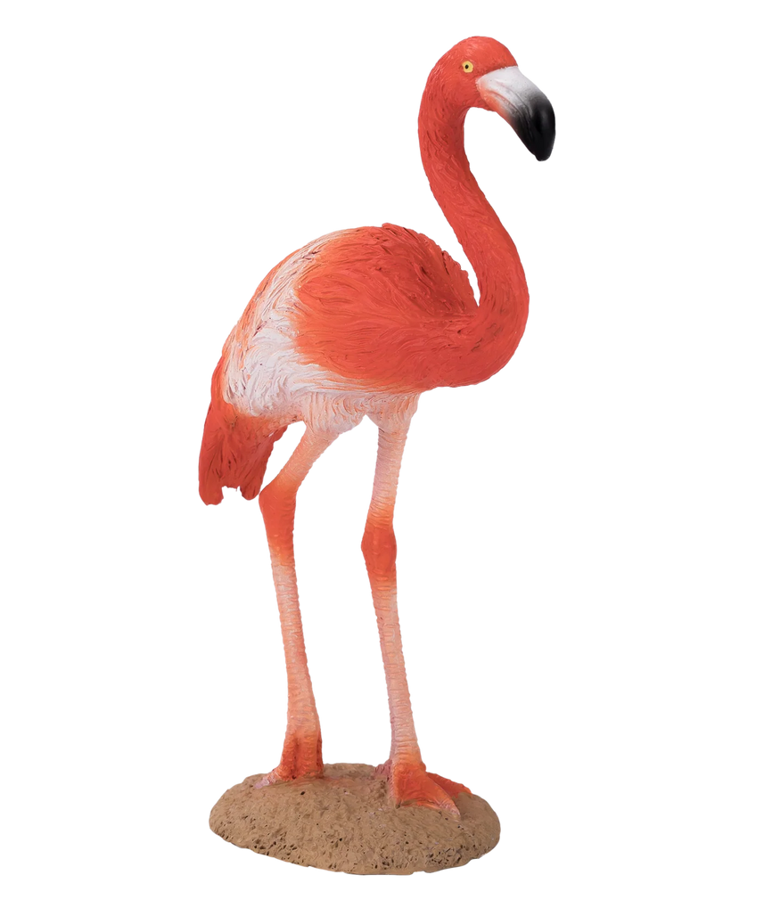 Mojo American Flamingo Medium Animal Figure Toy, Realistic Bird Collectible for Kids