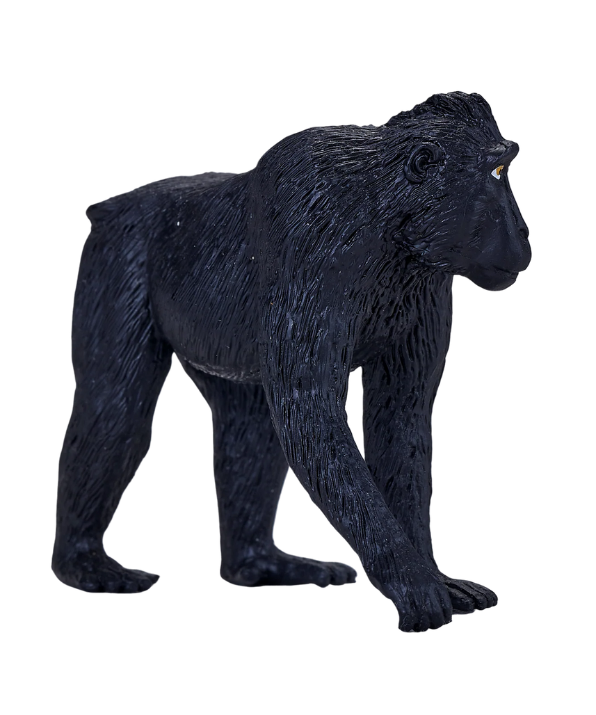 Black Crested Macaque Medium Animal Figure Toy, Realistic Jungle Wildlife Collectible for Kids