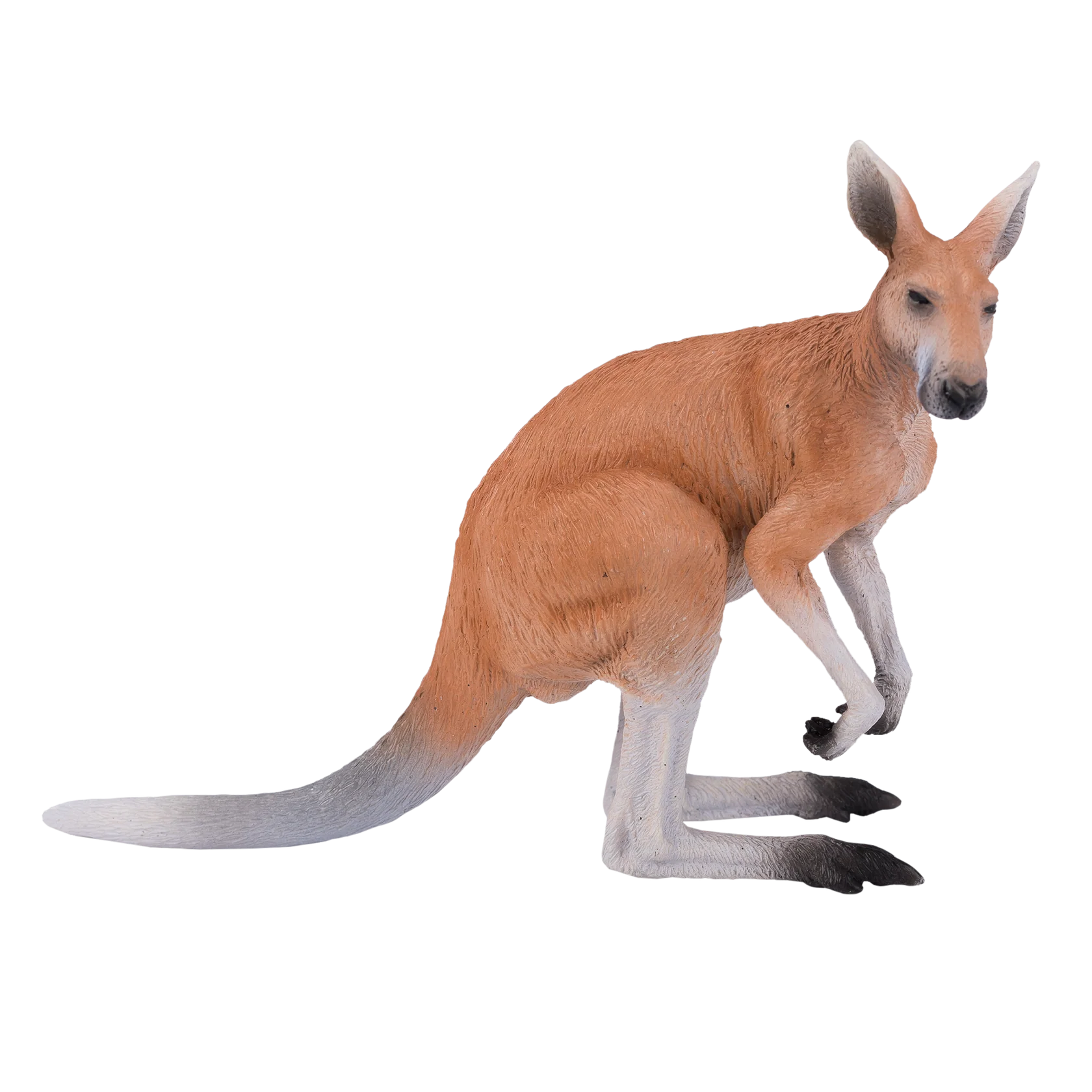 Mojo Kangaroo Large Animal Figure Toy, Realistic Australian Wildlife Collectible for Kids