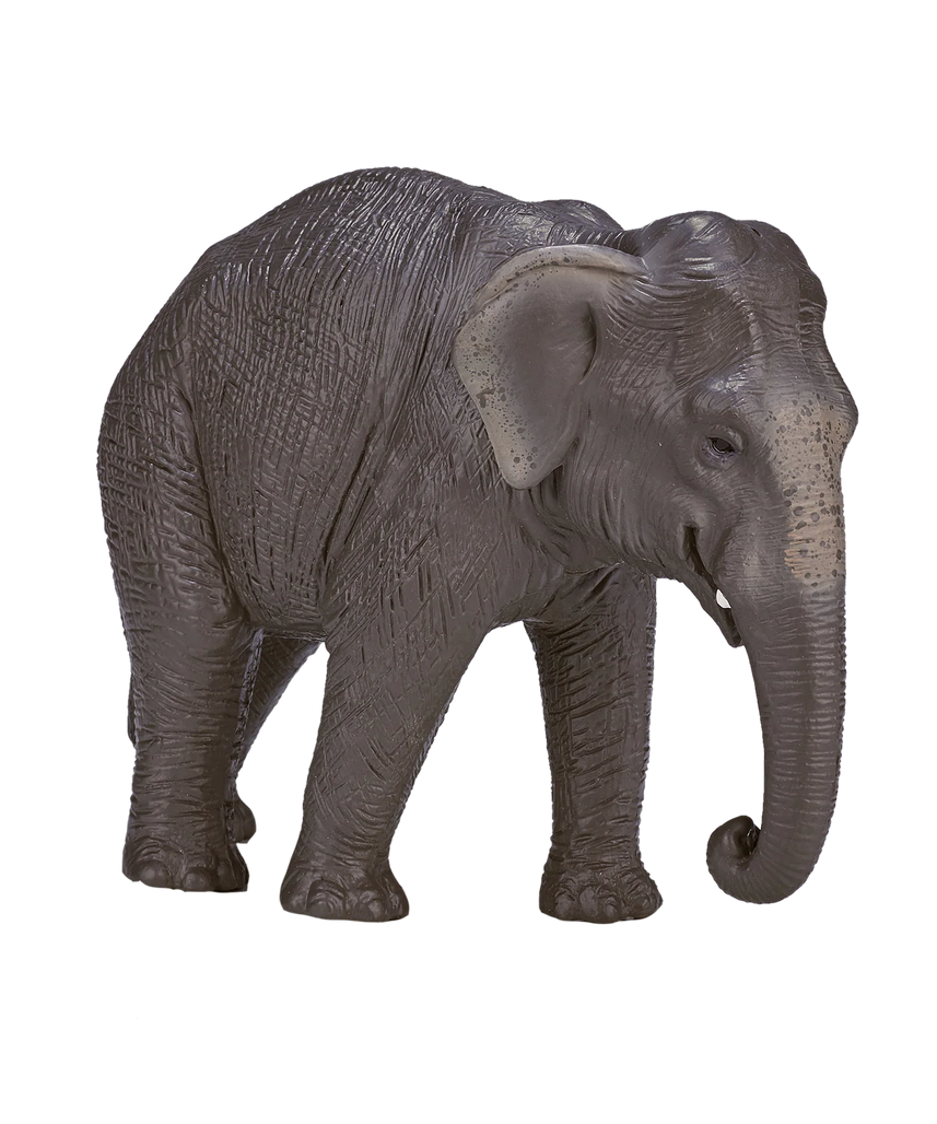 Mojo Asian Elephant XL Animal Figure Toy, Realistic Safari Wildlife Collectible for Kids