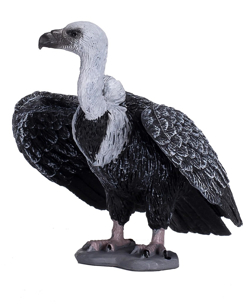 Mojo Griffon Vulture Large Animal Figure Toy, Realistic Bird Collectible for Kids