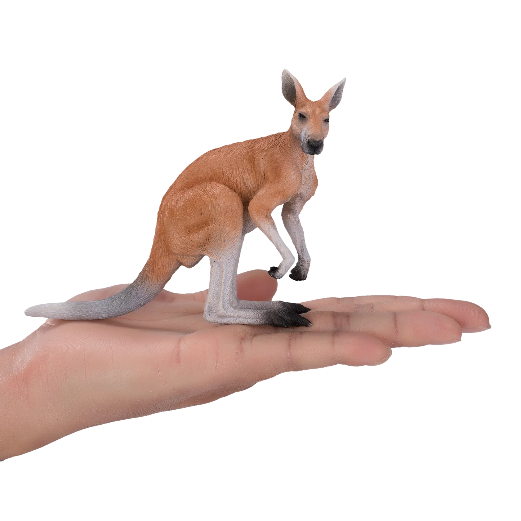 Mojo Kangaroo Large Animal Figure Toy, Realistic Australian Wildlife Collectible for Kids