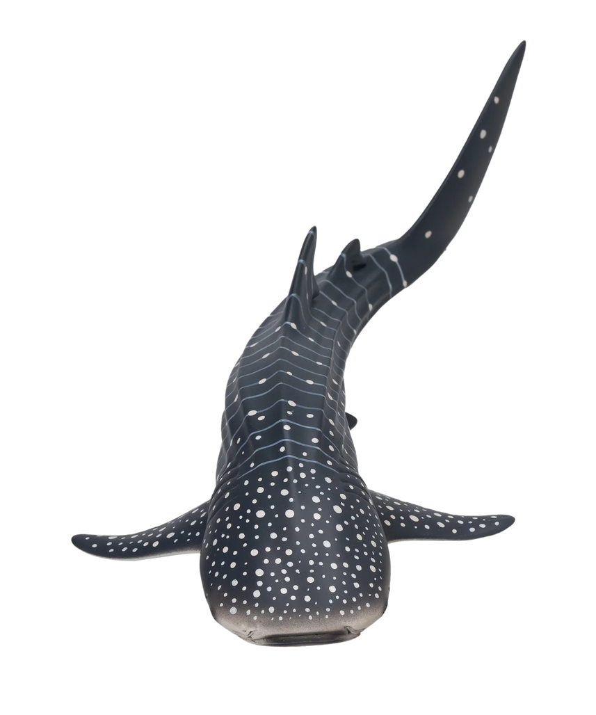 Mojo Whale Shark Deluxe I Animal Figure Toy, Realistic Ocean Wildlife Collectible for Kids