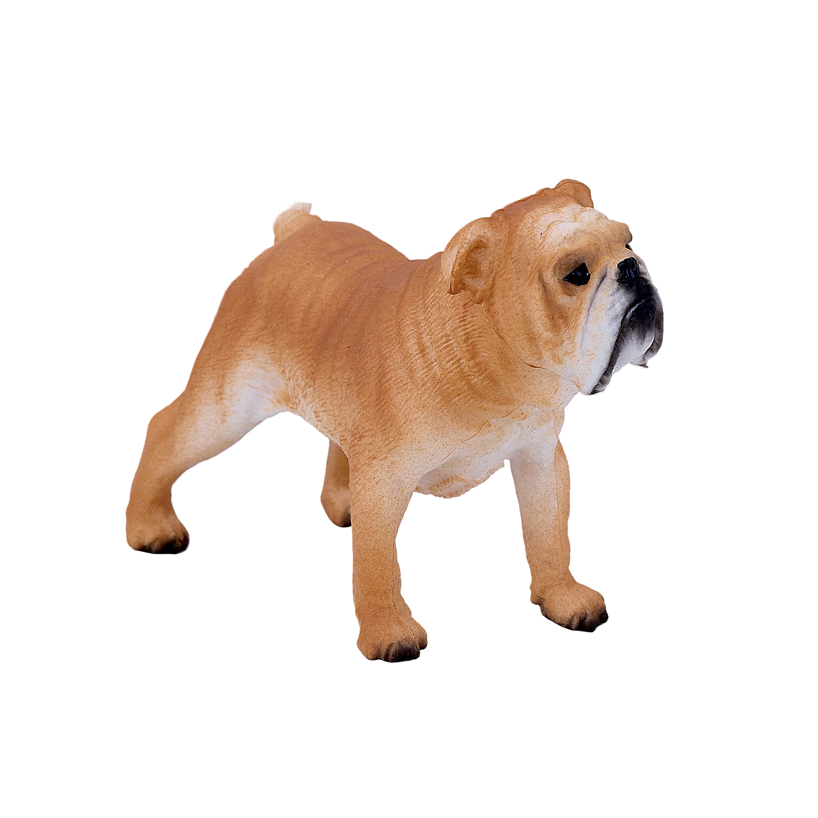 Mojo English Bulldog Medium Animal Figure Toy, Lifelike Dog Collectible for Kids and Dog Lovers
