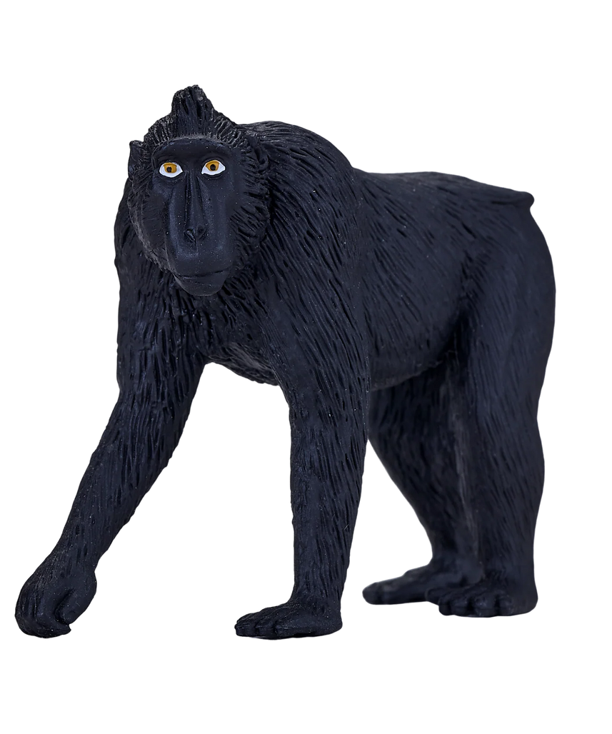Black Crested Macaque Medium Animal Figure Toy, Realistic Jungle Wildlife Collectible for Kids