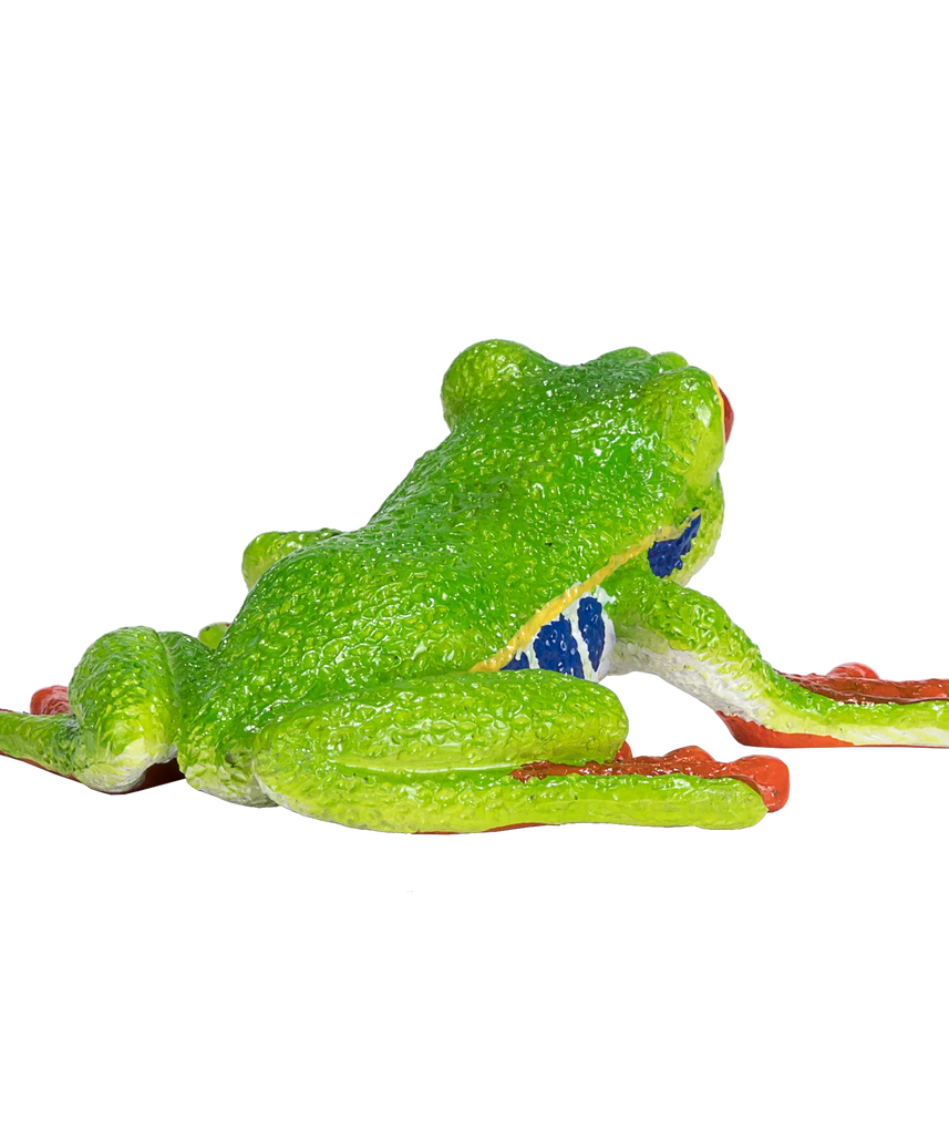 Mojo Red Eyed Tree Frog Medium Animal Figure Toy, Realistic Amphibian Collectible for Kids