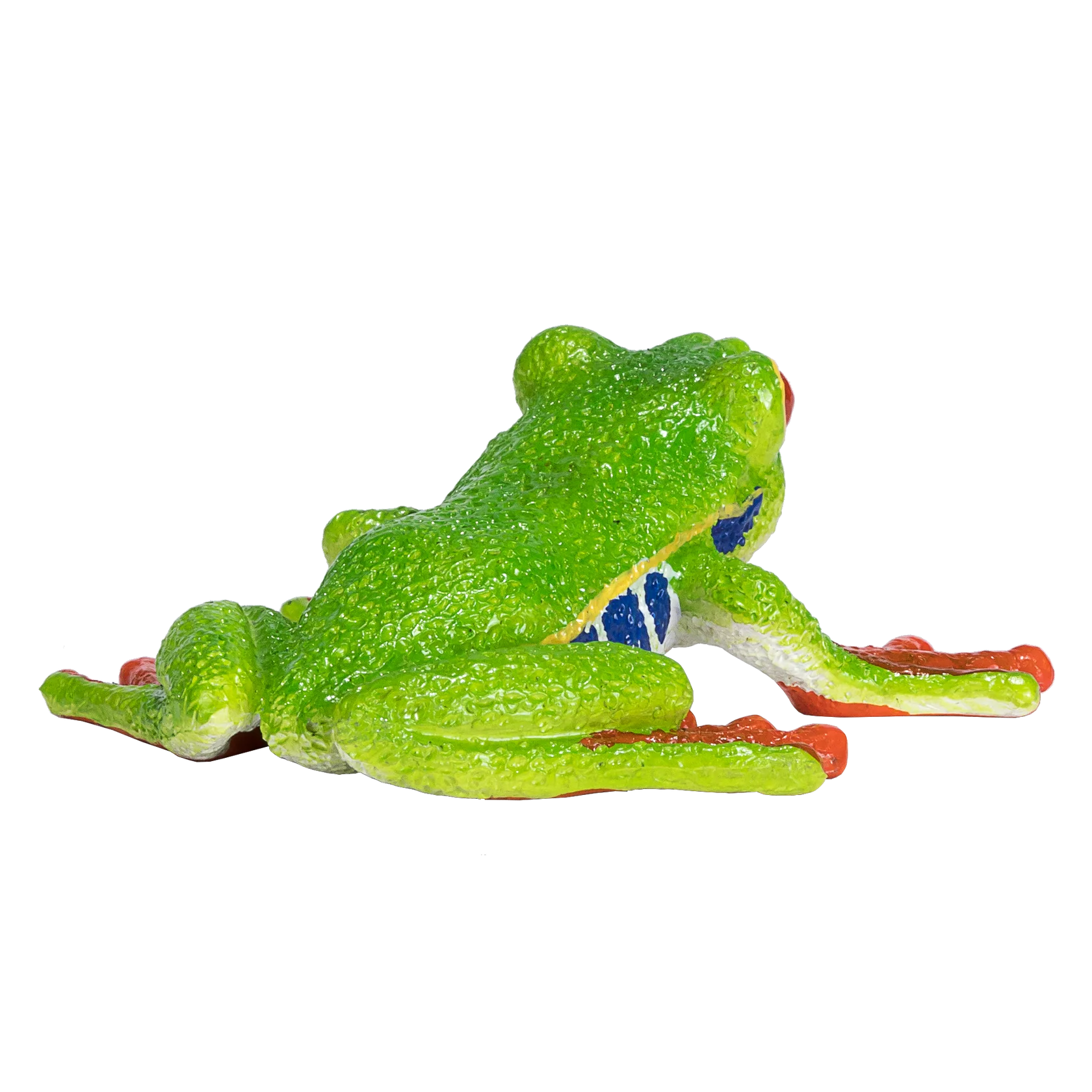 Mojo Red Eyed Tree Frog Medium Animal Figure Toy, Realistic Amphibian Collectible for Kids