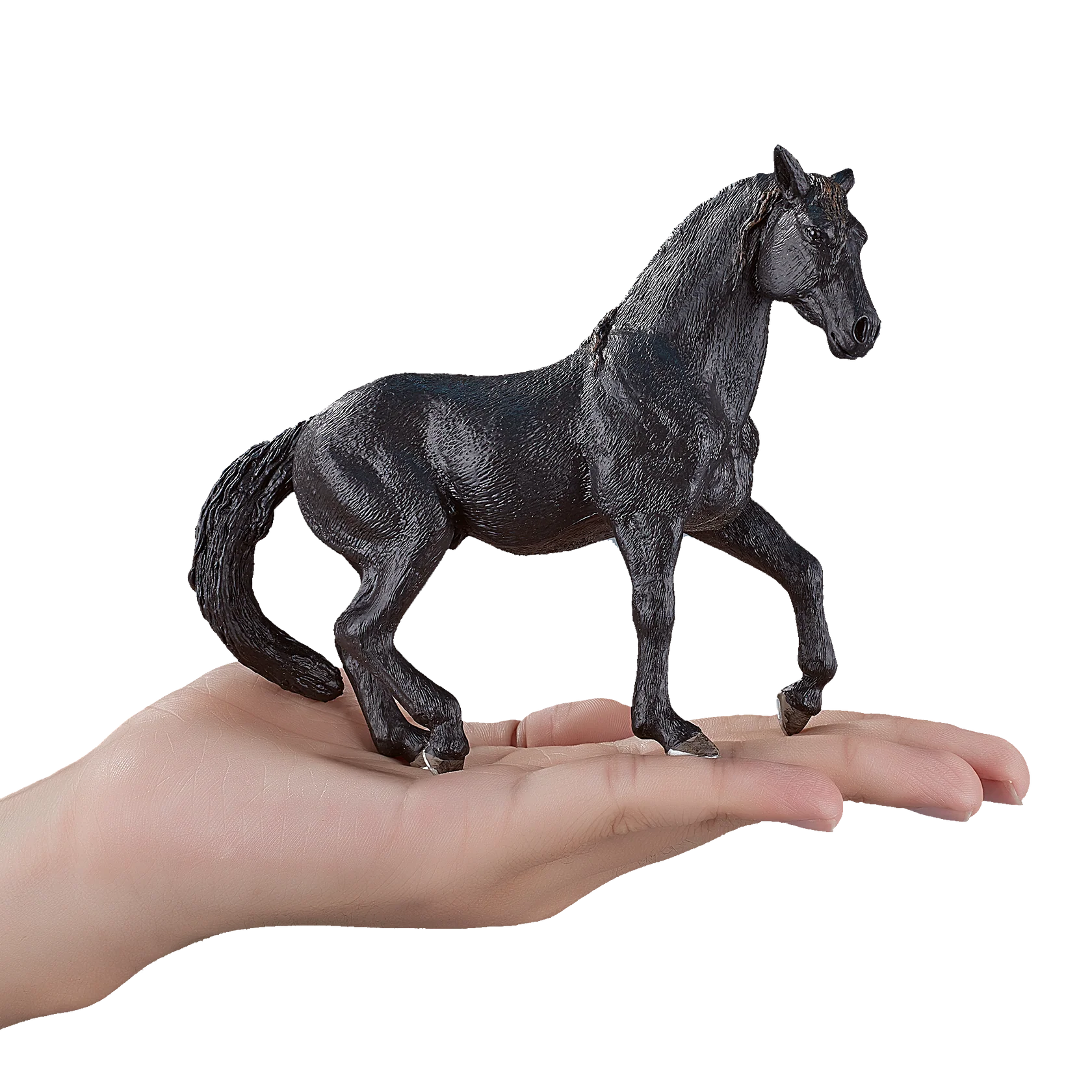 Mojo Andalusian Stallion Black XL Animal Figure Toy, Realistic Horse Collectible for Kids